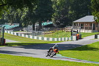Expert Group Orange Bikes